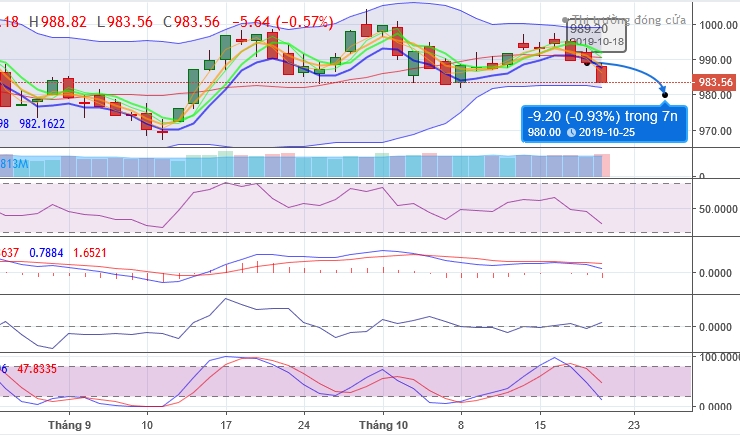 (Dự đoán: Biểu đồ kỹ thuật chỉ số VNI-INDEX tuần 21-25.10.2019 )